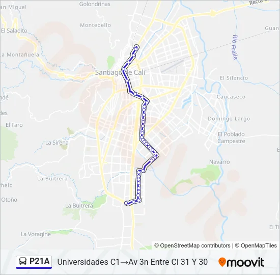 P21A Bus Line Map