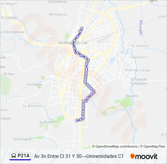 P21A Bus Line Map