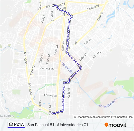 P21A Bus Line Map