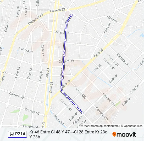 P21A Bus Line Map