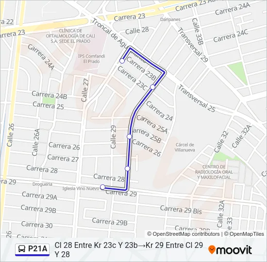 P21A Bus Line Map