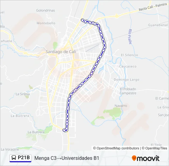 P21B Bus Line Map