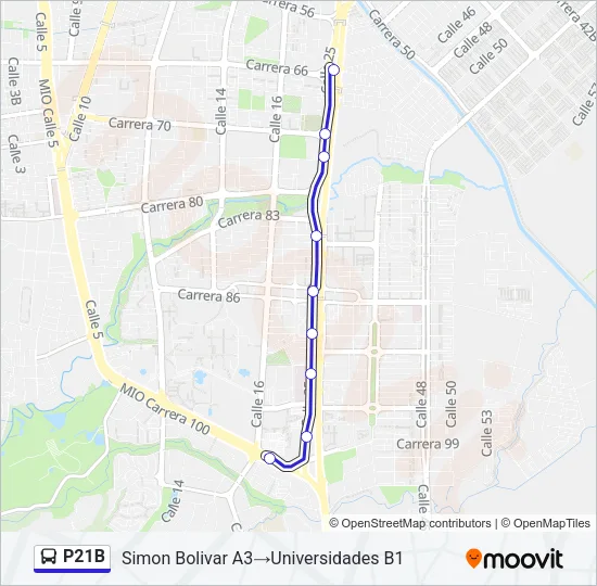 P21B Bus Line Map