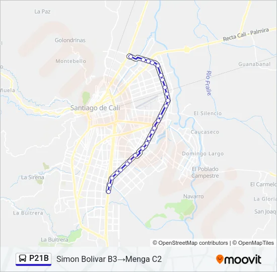 P21B Bus Line Map