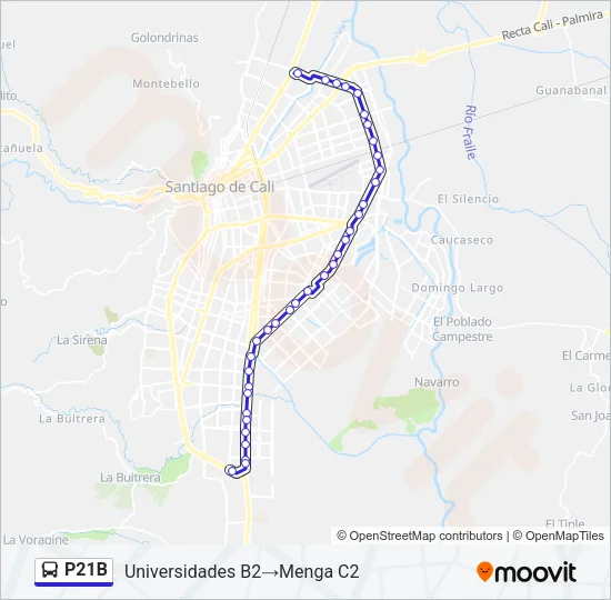P21B Bus Line Map