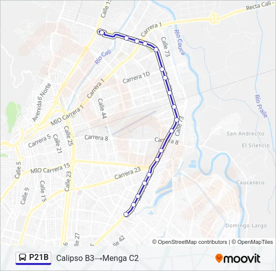 P21B Bus Line Map