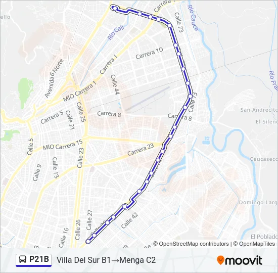 P21B Bus Line Map