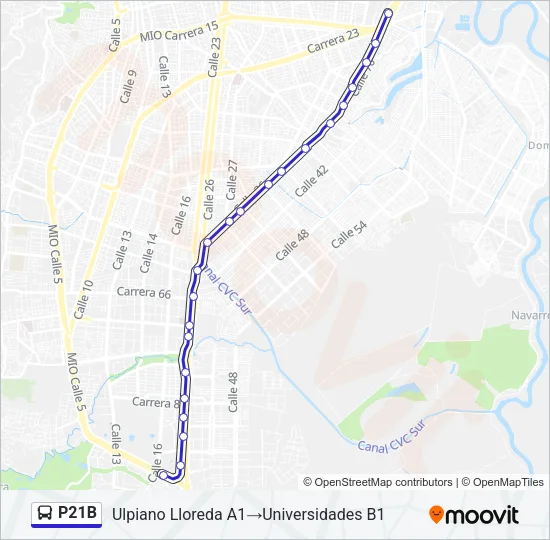 P21B Bus Line Map