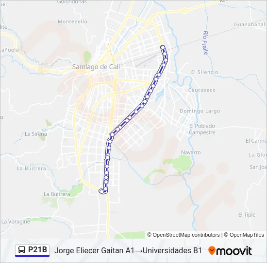 P21B Bus Line Map
