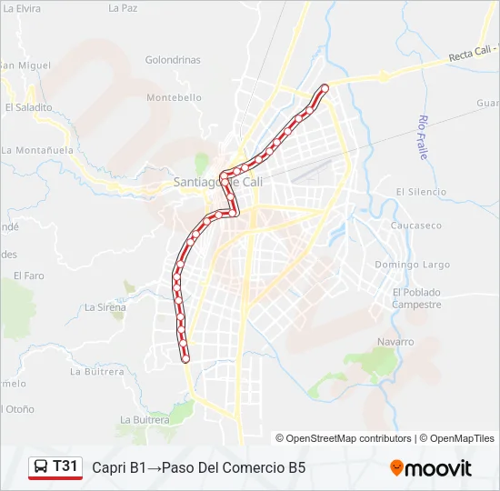 T31 Bus Line Map