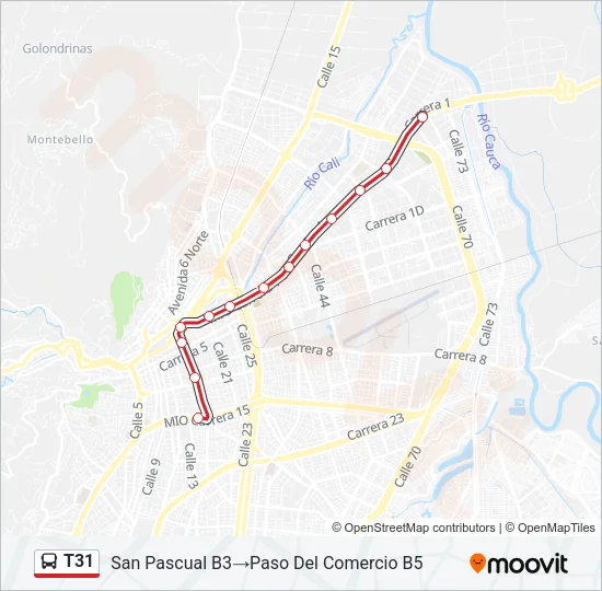 T31 Bus Line Map