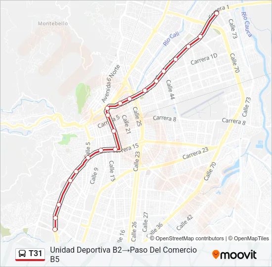 T31 Bus Line Map