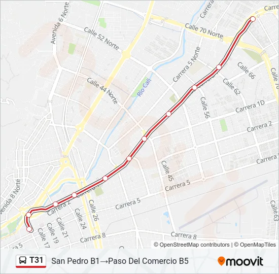 T31 Bus Line Map