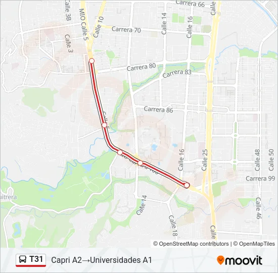 T31 Bus Line Map