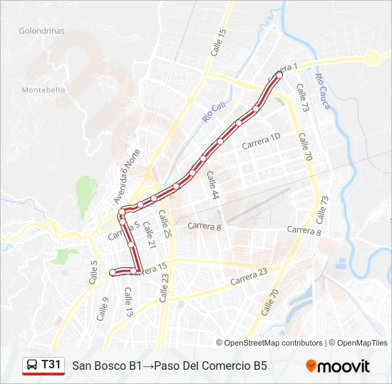 T31 Bus Line Map