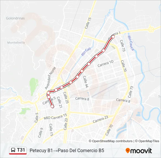 T31 Bus Line Map