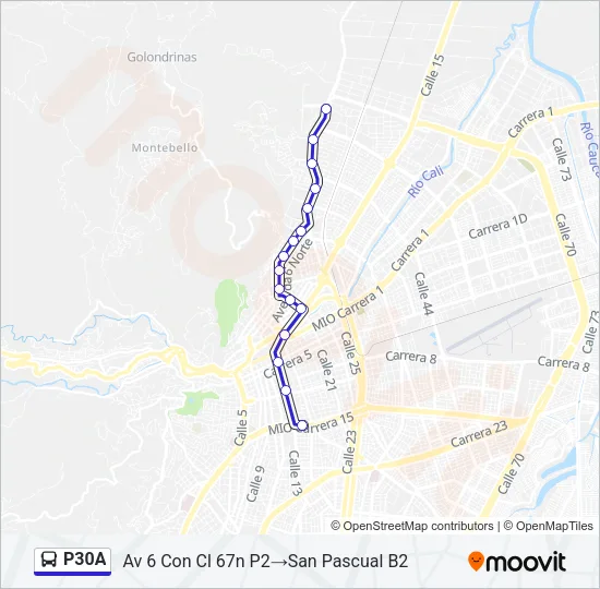 P30A Bus Line Map