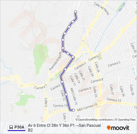 P30A Bus Line Map
