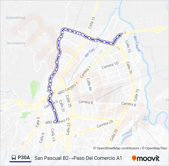 P30A Bus Line Map