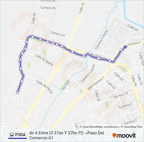P30A Bus Line Map