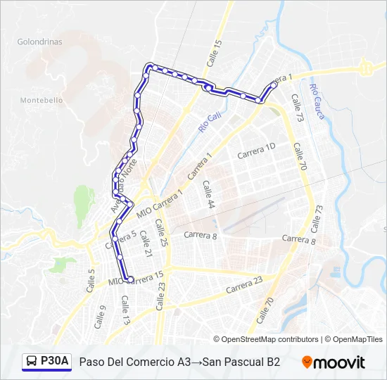 P30A Bus Line Map