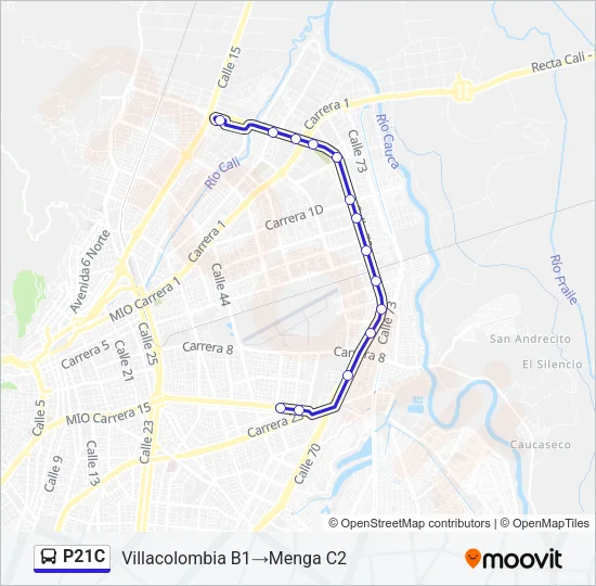 P21C Bus Line Map