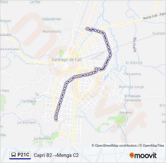 P21C Bus Line Map
