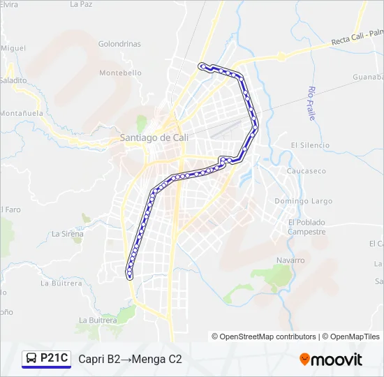 P21C Bus Line Map