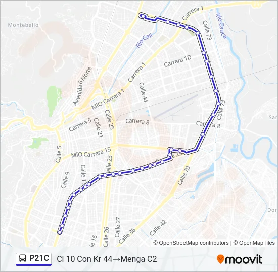 P21C Bus Line Map