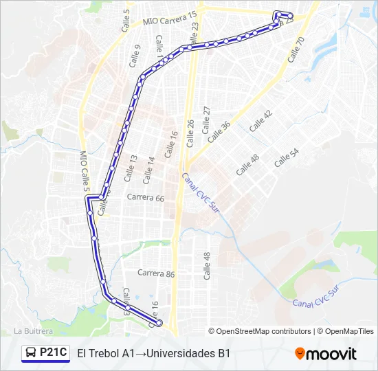P21C Bus Line Map
