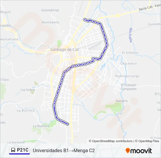 P21C Bus Line Map