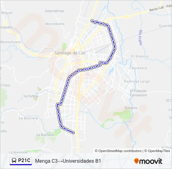 P21C Bus Line Map