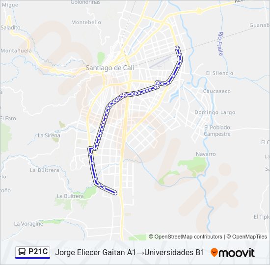 P21C Bus Line Map