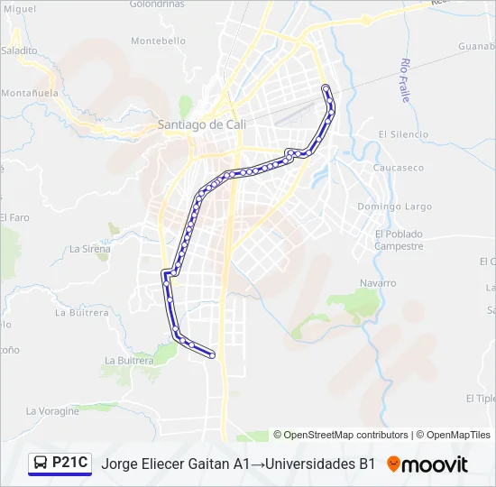 P21C Bus Line Map