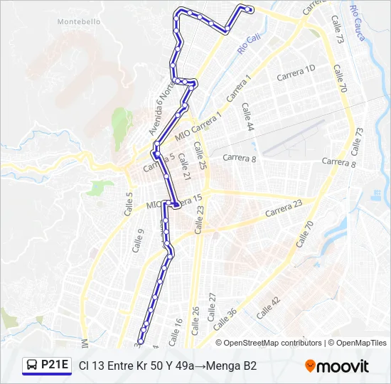P21E Bus Line Map