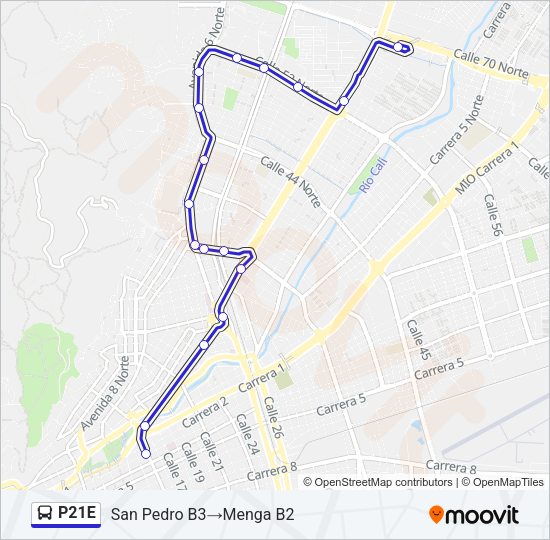 P21E Bus Line Map