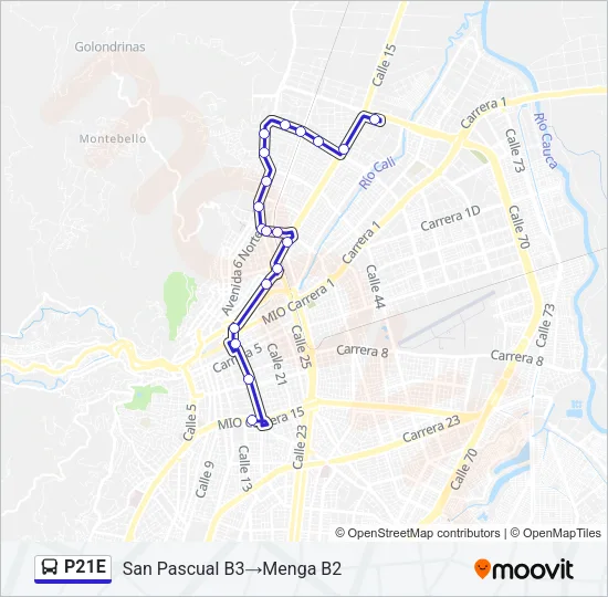 P21E Bus Line Map