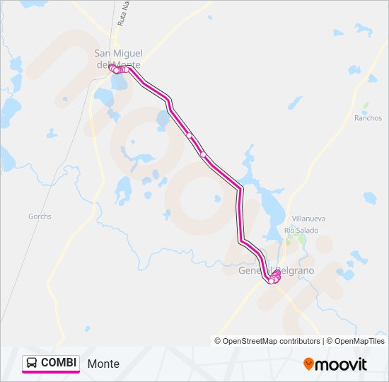 COMBI Colectivo Line Map