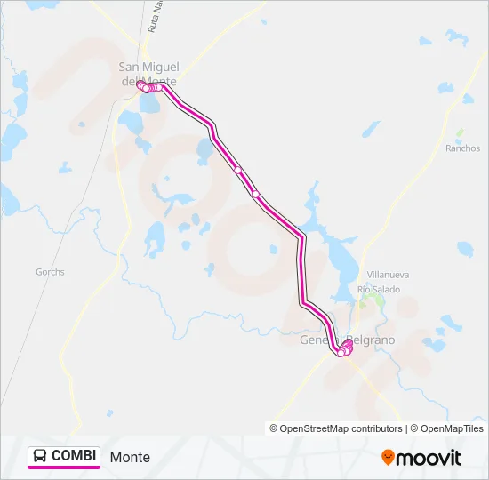 COMBI Colectivo Line Map
