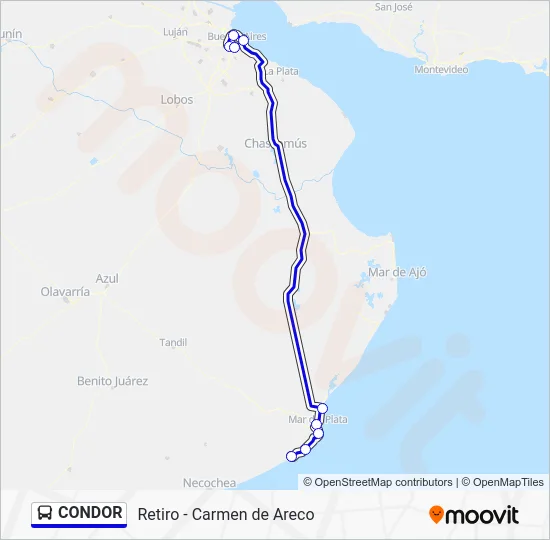CONDOR Colectivo Line Map
