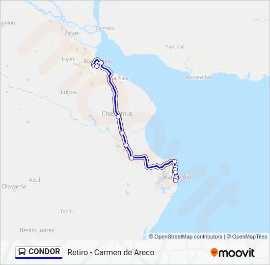 CONDOR Colectivo Line Map