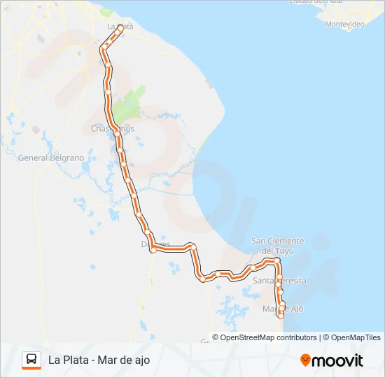 PLATABUS Colectivo Line Map