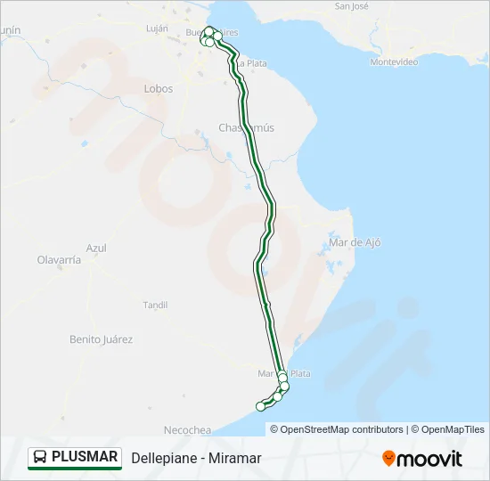 PLUSMAR Colectivo Line Map