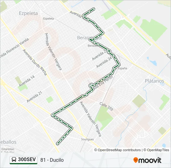 300SEV Colectivo Line Map