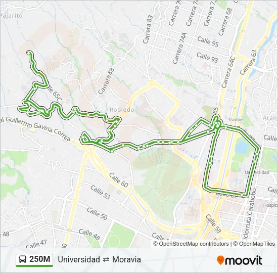 250M Bus Line Map