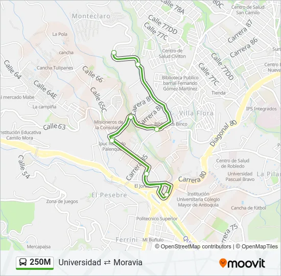 250M Bus Line Map