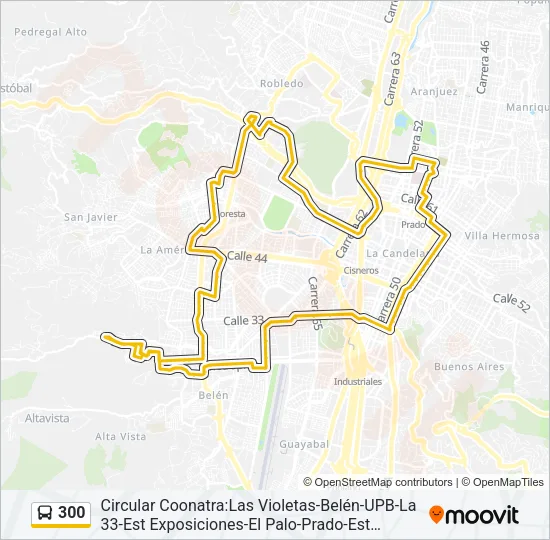 300 Bus Line Map