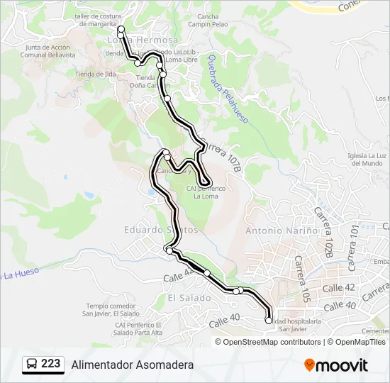 223 Bus Line Map
