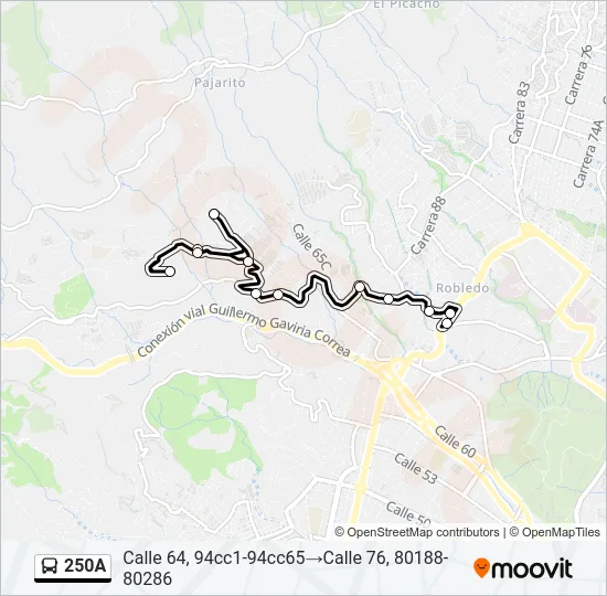 250A Bus Line Map