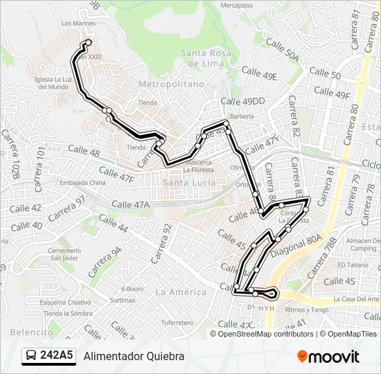 242A5 Bus Line Map